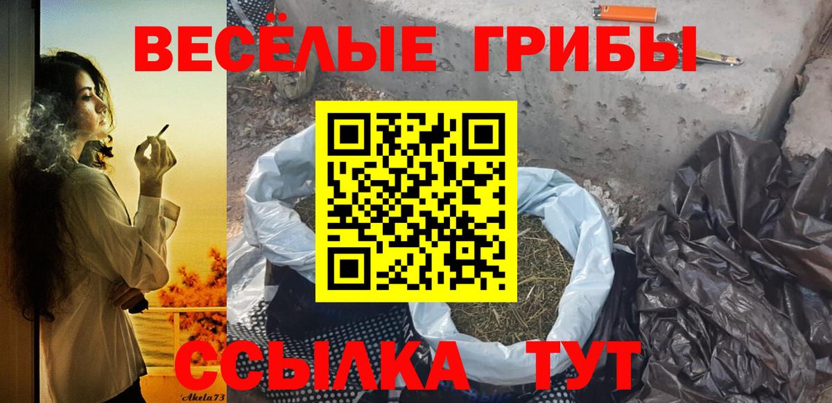 Галлюциногенные грибы Psilocybine cubensis Корсаков