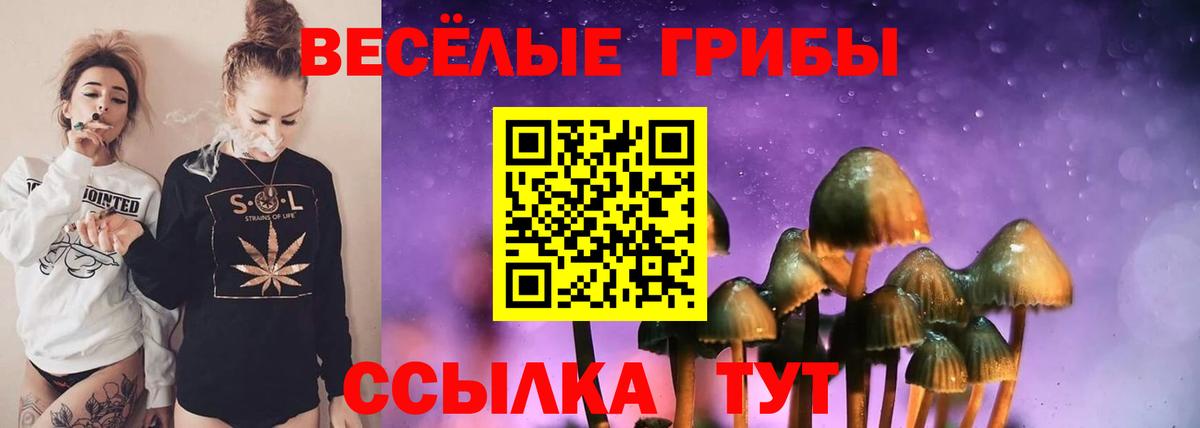 Псилоцибиновые грибы мицелий  Вход с VPN  Корсаков 